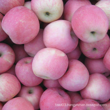 Sweet Fresh Red FUJI Apple From China